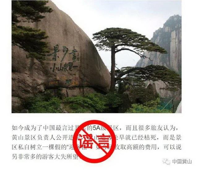 黄山风景区辟谣迎客松为塑料树，不容谣言的斧子砍向“国家名片”